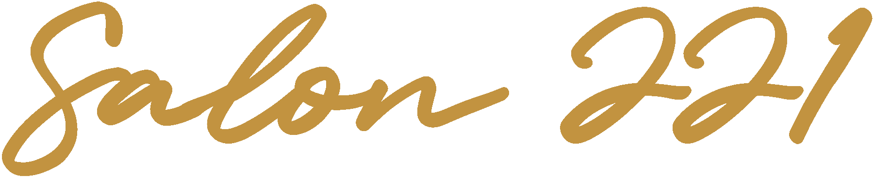Salon 221 - Logo
